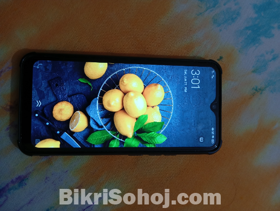 Vivo y 15
